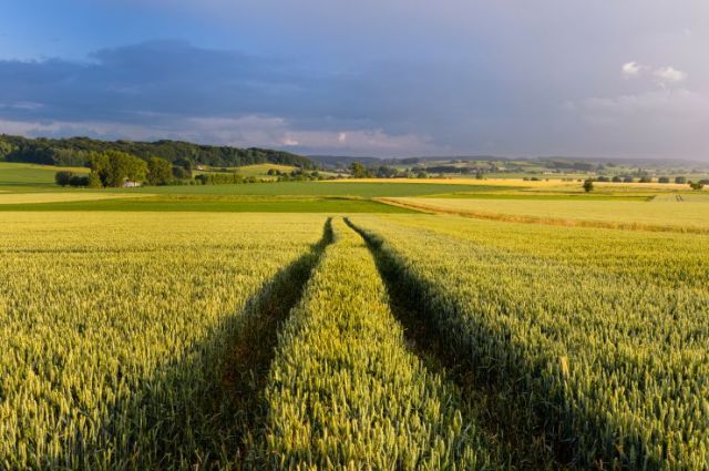 bart heirweg rotelenberg koppenberg